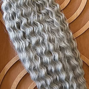 Silver Fox